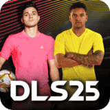 DLS Logo