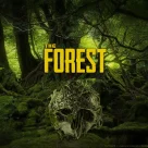 The forest Mobile The forest Mobile